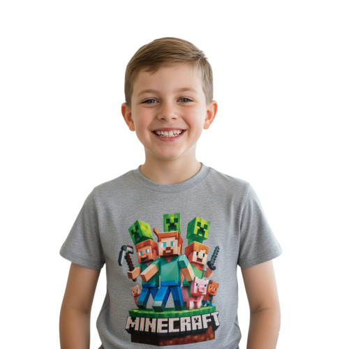 Koszulka Minecraft dziecięca szara bawełniana krótki rękaw t-shirt